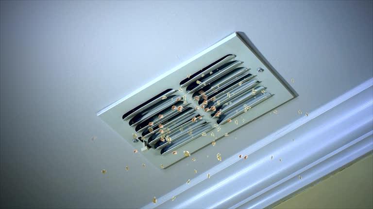 Best Affordable Air Duct Cleaning  in Chesterfield, IN